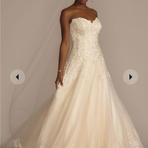 Davids Bridal Wedding Gown- Vintage Rose- Size 14- No alterations